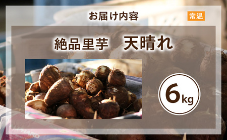 絶品里芋　～天晴れ～　6kg・S068