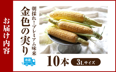 【12月限定価格】朝採れ！プレミアム味来～金色の実り～10本・S065_c2