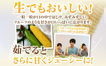 朝採れ！プレミアム味来 ～金色の実り～ 20本・S066 | 愛知県西尾市 