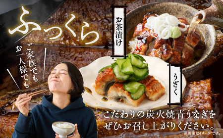 【12月限定価格】【厳選】三河一色産炭火焼青うなぎ　蒲焼2尾320g以上・U045_c2
