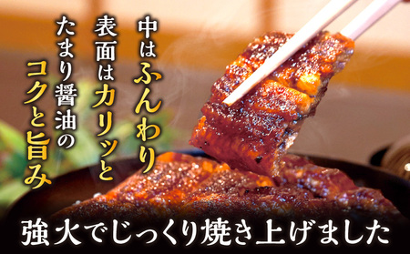 【定期便】三河一色産うなぎ蒲焼 大サイズ無頭3尾入り×6回(毎月)・M118