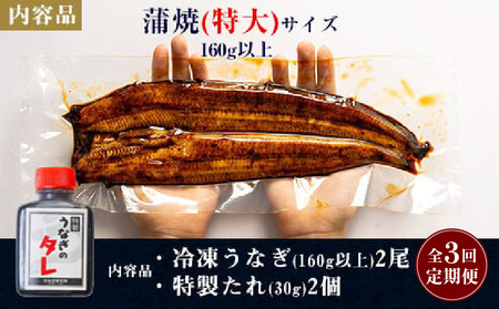 【定期便】三河一色産うなぎ蒲焼特大2尾(計320g以上)×3回・R013
