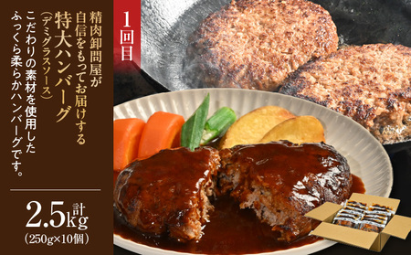 お肉の定期便（ハンバーグ、焼豚）・T124