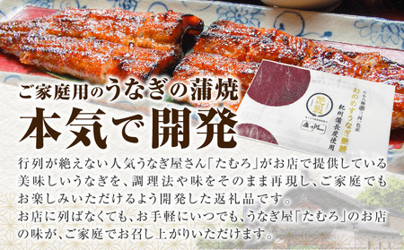 三河一色産　幻のめすうなぎ艶鰻　蒲焼6尾・T118