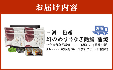 三河一色産　幻のめすうなぎ艶鰻　蒲焼6尾・T118