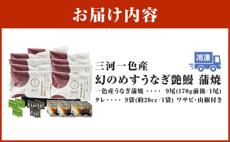 三河一色産 幻のめすうなぎ艶鰻 蒲焼9尾・T119