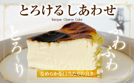 究極のとろけるバスクチーズケーキ 2点セット・T113