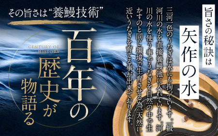 三河一色産うなぎ使用 うなぎおにぎり5個・R011