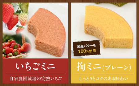 KingFarmのよくばりセット・K316