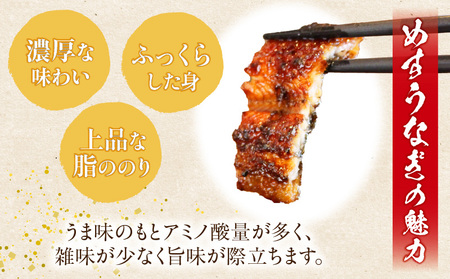 愛知県三河一色産 めすうなぎ「艶鰻」うなぎ蒲焼き （計2尾400ｇ以上）・U048