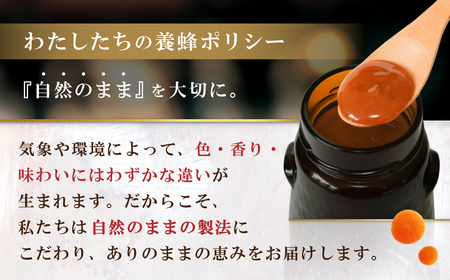 マヌカハニー MGO220+ 250g インカナムマヌカハニー・T126