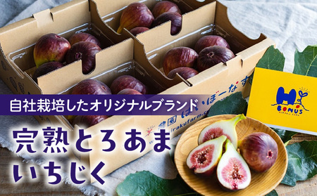 愛知県産　完熟とろあまいちじく使用　ごろっとジャム・A201