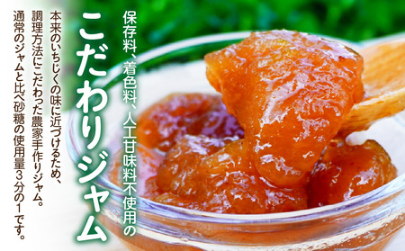 愛知県産　完熟とろあまいちじく使用　ごろっとジャム・A201