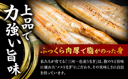 焼鰻特選メス妃うなぎ特大2尾 計340g (白焼き・たれ付き)・Y098