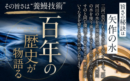 【2026年3月限定価格】三河一色産うなぎ蒲焼特大4尾(計640g以上)・R044_c2603