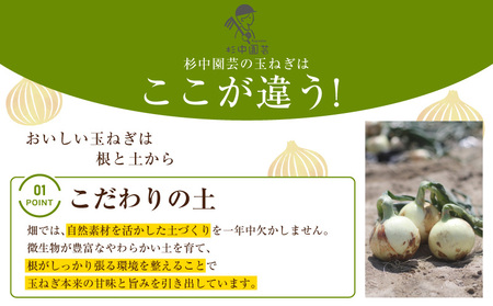 口に広がる優しい甘さの玉ねぎ ～真玉～　10kg（箱の重さ込み）・S098