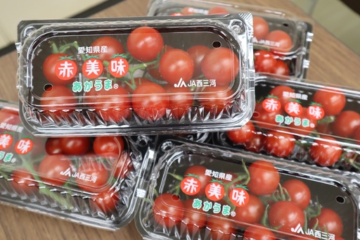 赤美味ミニトマト・N080｜愛知県西尾市｜ポイント制ふるさと納税「ふる