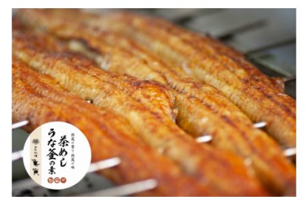 茶めしうな釜の素・U013-23