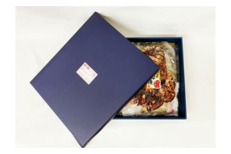 海産物の姿焼き・N034-13