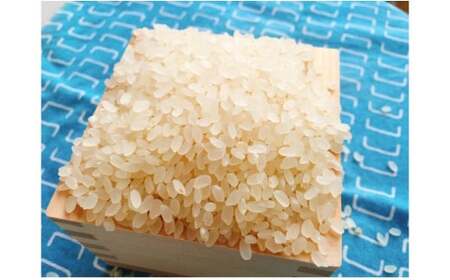 【3ヶ月定期便】おのださんちのハッピー米(コシヒカリ)白米(5kg×2)×3回・O016-54