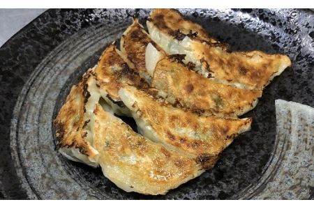 亀井寿しの手作り餃子64個・K021-13