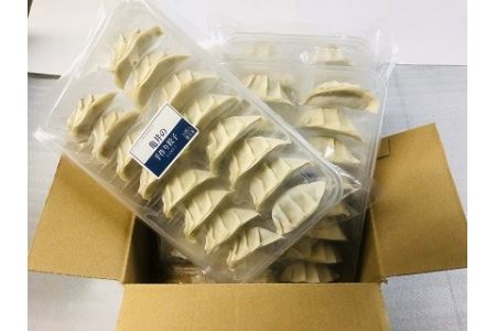 亀井寿しの手作り餃子64個・K021-13