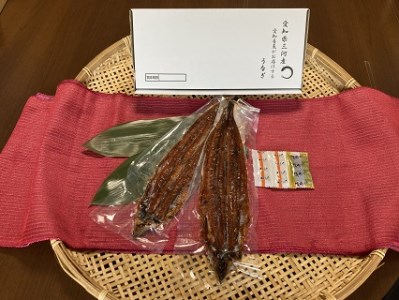 三河産　超特大うなぎ「蒲焼冷凍×2尾」・A090-18