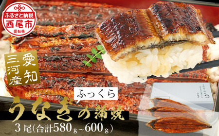 「生産者愛知養魚」がお届けする三河産うなぎ「蒲焼冷凍＜超特大＞3尾(合計580g～600g)」・A091-25