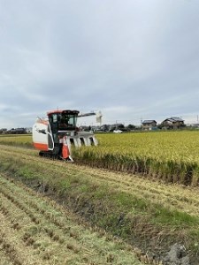 ＜万燈米＞【こしひかり 4.5kg×2袋 】・I027-25