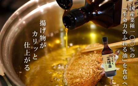 薪焙煎 純国産菜種100%「ほうろく菜種油伝承油」460g×6本・H040-54