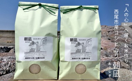 【令和7年産】西尾市一色町のお米≪朝凪(コシヒカリ)≫ 9kg・M074-28