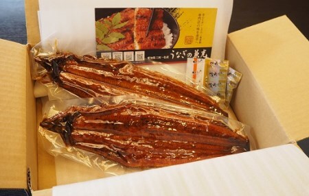 愛知県三河一色産うなぎ蒲焼き　超特大サイズ2尾(合計500g以上) 国産 愛知県産 西尾市産 西尾一色産 うなぎの兼光 鰻 ウナギ 蒲焼き 惣菜 総菜 タレ付き たれセット 海鮮 魚 丑の日 土用の丑の日・U039