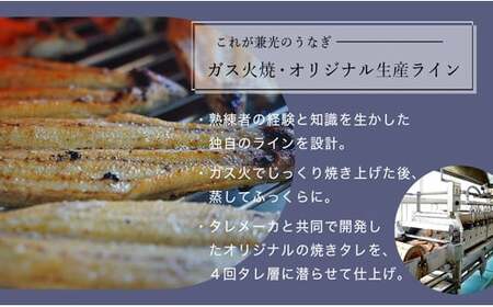 愛知県三河一色産うなぎ蒲焼き特大サイズ2尾+きざみうなぎ2食入り