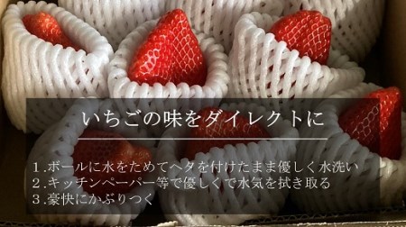 超特大いちご(章姫) 400g以上(6~8粒)×1箱・O039-16