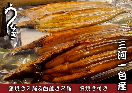 三河一色うなぎ蒲焼き2尾・白焼き2尾　鰻肝焼き付き・F015-30