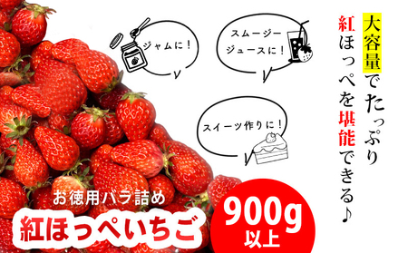 訳ありバラ詰めいちご(紅ほっぺ)　900g以上×１箱・O040-10