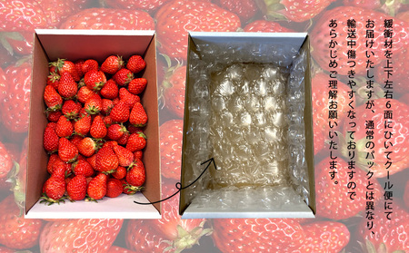 訳ありバラ詰めいちご(紅ほっぺ)　900g以上×１箱・O040-10