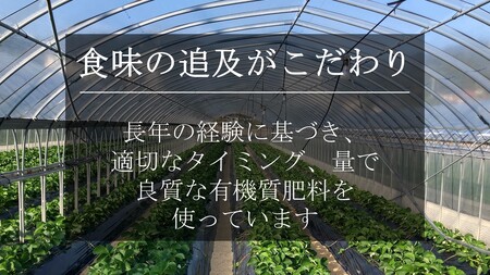 訳ありバラ詰めいちご(紅ほっぺ)　900g以上×１箱・O040-10