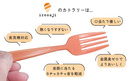 【金属アレルギー対応】『いろさじ irosaji』フォーク 人気カラー5本・T088-27