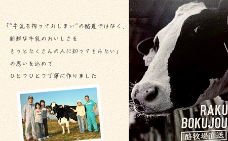 酪牧場オリジナルジェラート<カップ>・R003-13