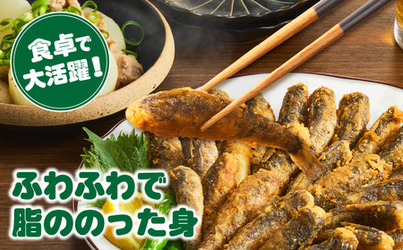脂ののったメヒカリの唐揚げ(200g×5)1kg・K247-14