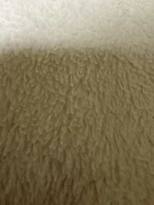 シングル】泉大津製 無着色 オーガニック コットン マイヤー毛布(毛羽