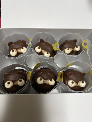 【たぬきケーキ】ショート/ブラック(=ナチュラルブラック) たぬきケーキのあるとこめぐり ／ 全国たぬきケーキ生息マップ