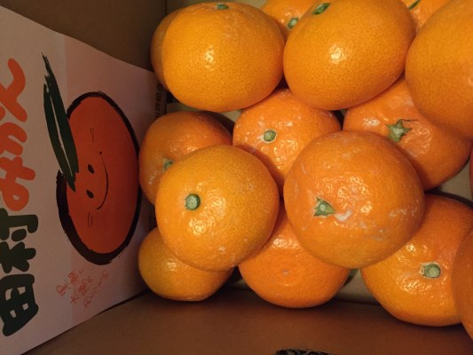 【生産者限定】高級ブランド田村みかん 5kg【魚鶴商店】 ｜和歌山県湯浅町｜ポイント制ふるさと納税「ふるなびカタログ」