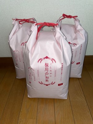 生産者支援】 《令和5年産》 新米 茨城県 桜川市産 こしひかり15kg