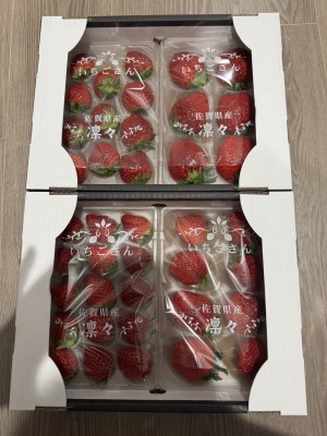 佐賀ブランド苺「いちごさん」合計1,000g（250g×4セット）苺