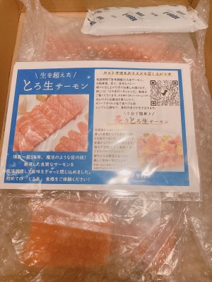 生を超えた「とろ生 サーモン」 お刺身用 ブロック 1kg【サーモン 刺身